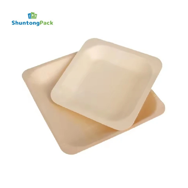 OEM Square Disposable Birch Wooden Plates